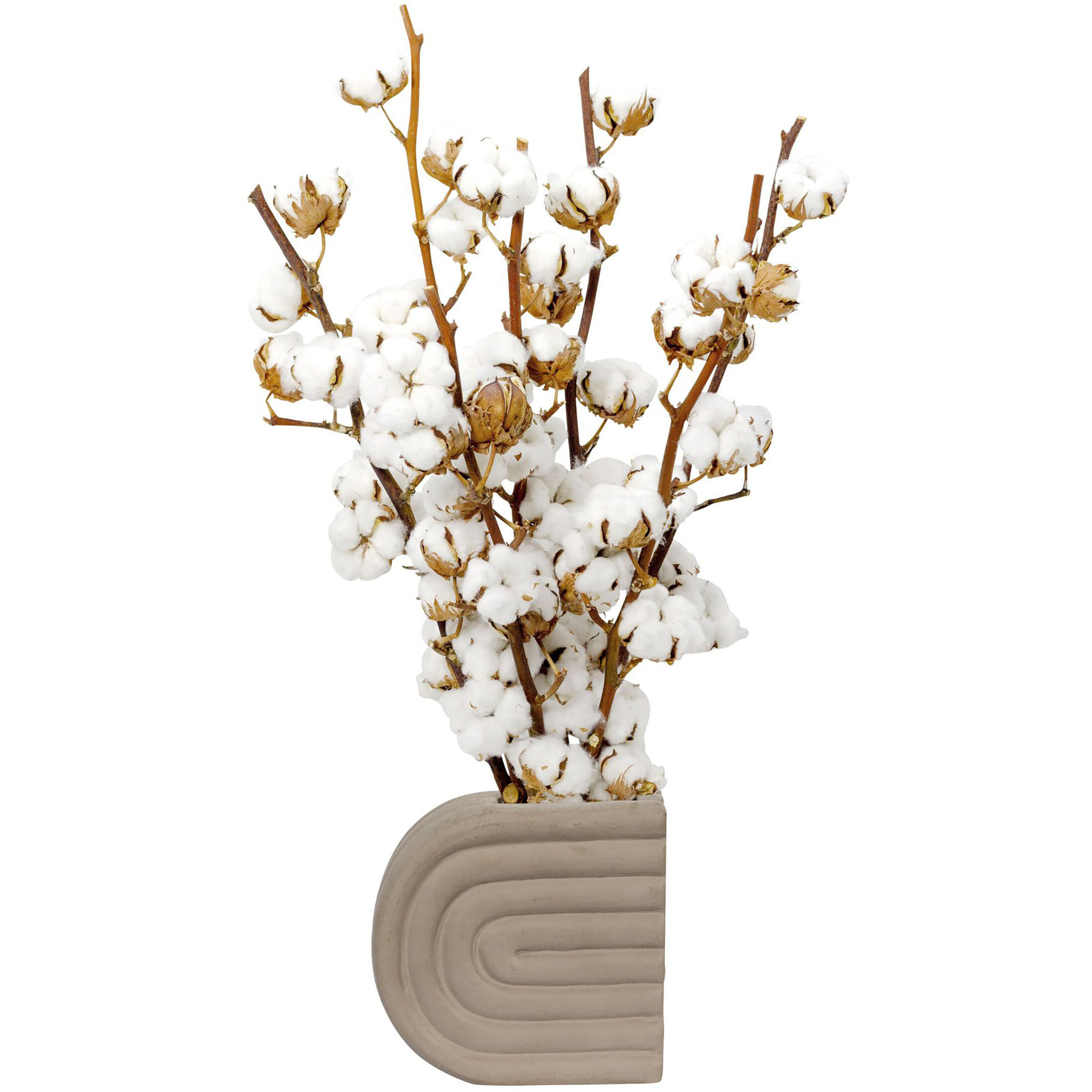 Otto 6 X 6 inch Vase