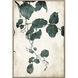 Hanging Leaf Green and Beige and Neutral Framed Art