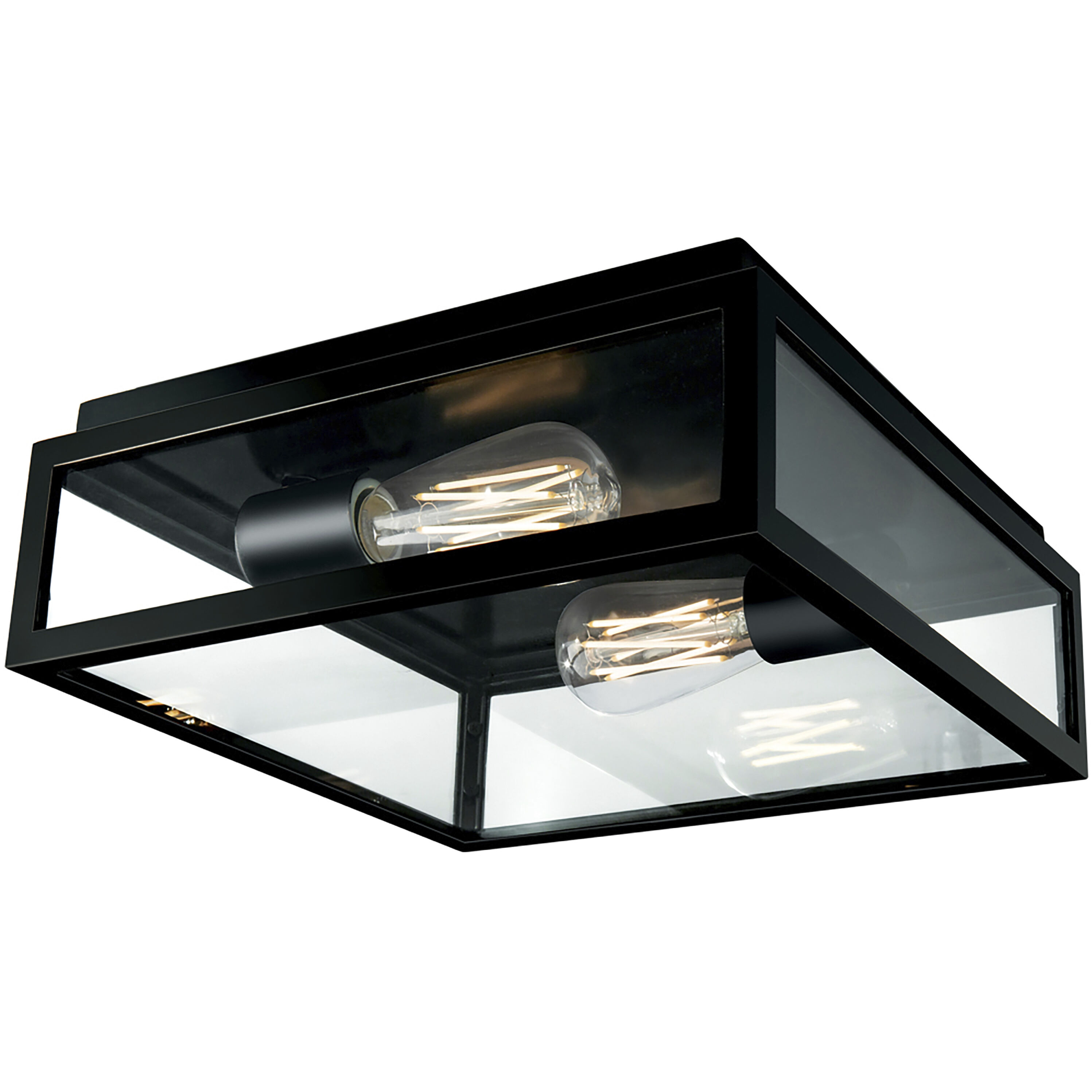 Capture 2 Light 12 inch Matte Black Outdoor Flush Mount