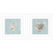 Seashell Green and Blue and Turquoise Framed Art, Propac