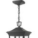 Bromley LED 10 inch Museum Black Outdoor Hanging Lantern