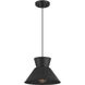 Mid-Century Modern 1 Light 12 inch Matte Black Pendant Ceiling Light