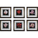 Tulip Profusion Red with White and Gold Leaf Framed Wall Art