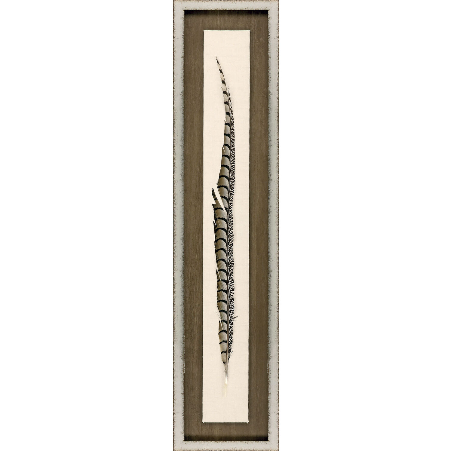 Lady Amhurst Feather Pheasant Feather Brown and Beige and Black and Neutral Framed Art