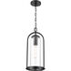 Luxio 1 Light 8.25 inch Powder Coated Black Outdoor Hanging Lantern