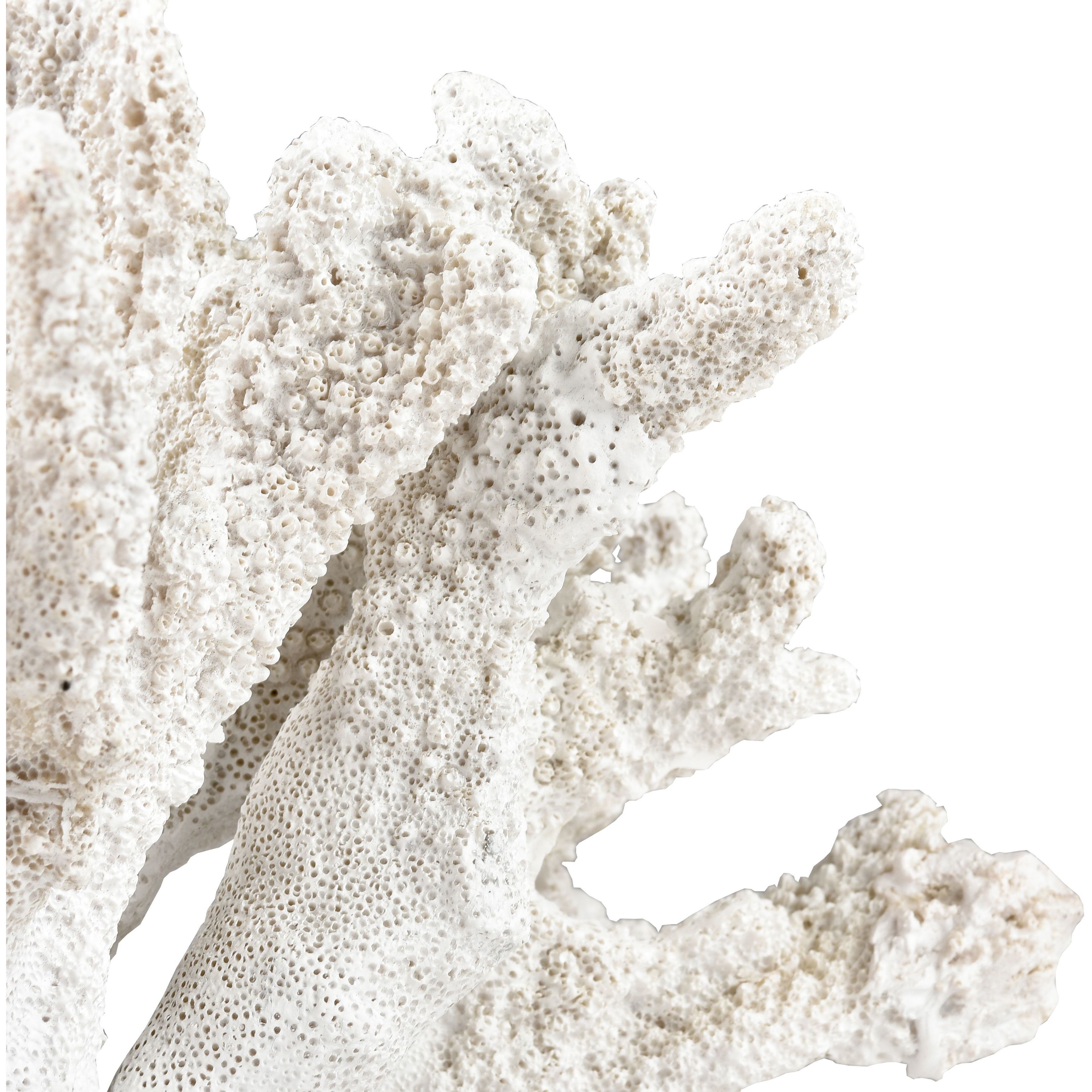 Coral 11.75 X 8.25 inch Sculpture, Set of 2