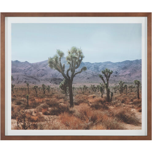 Desert 25.5 X 21.5 inch Painting, Land