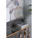 Caper Black Statuary