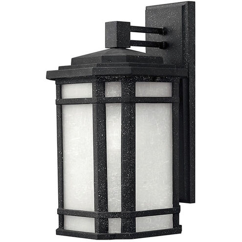 Cherry Creek LED 15 inch Vintage Black Outdoor Wall Mount Lantern, Medium