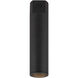 Lorna LED 3.25 inch Black Concrete Ceiling Mount Ceiling Light