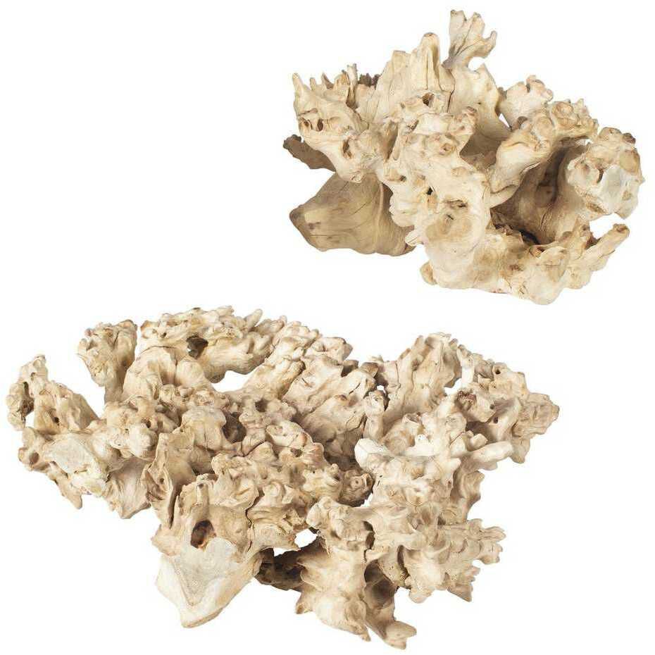 Elemental Root Bleached Residi Wood Outdoor Sculptures, Set of 2