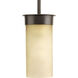 Hawthorne 1 Light 5 inch Antique Bronze Outdoor Hanging, Etched Umber Seeded Glass
