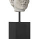 Venus Head on Stand 9 X 3.5 inch Sculptures, Set of 2