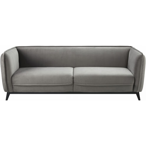 Bruce Medium Gray / Black Sofa
