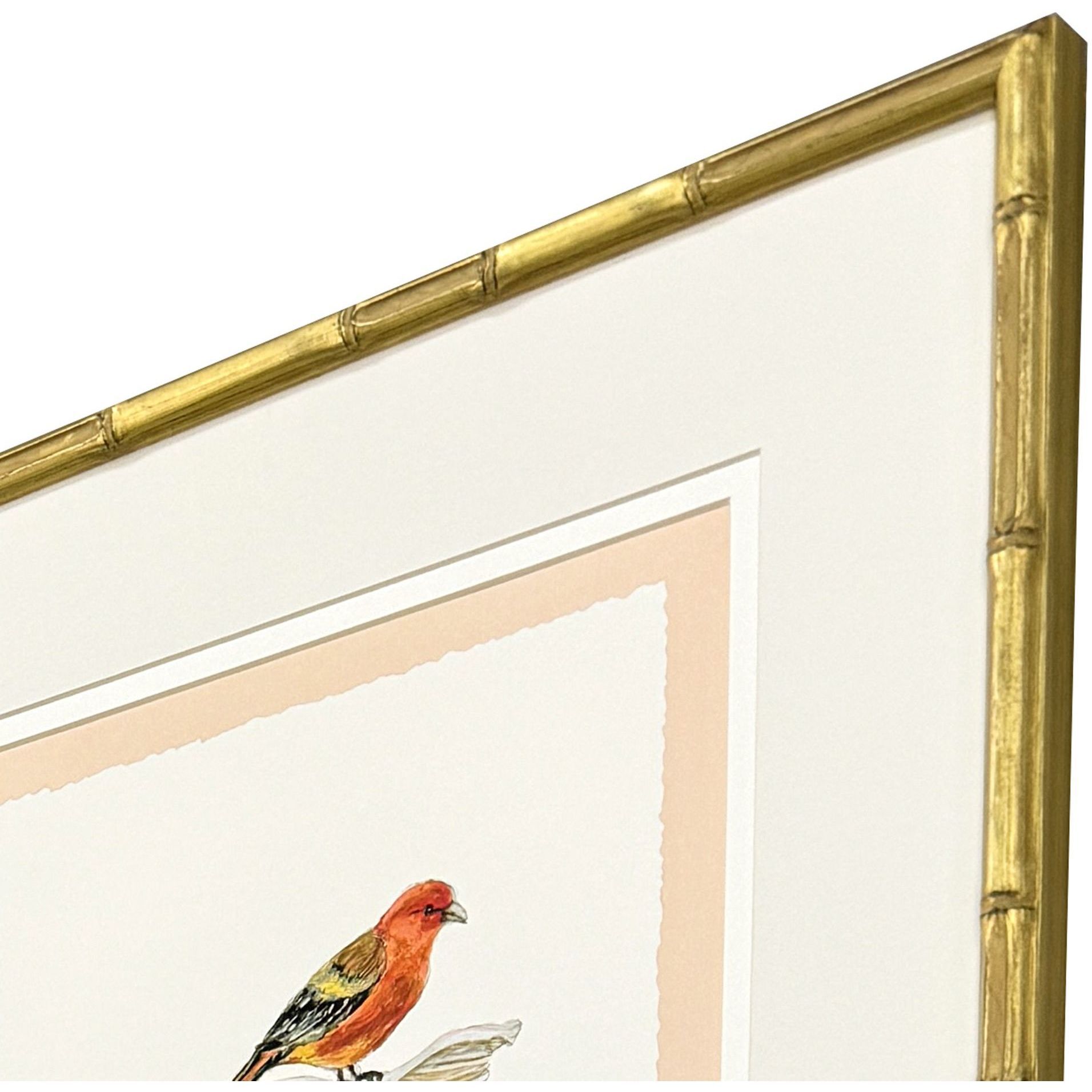 Bird with Shell Multi and Blue and Green and Orange Framed Art