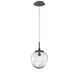 Aster LED LED 10 inch Graphite Pendant Ceiling Light in 2700K LED, Floret Inner - Clear Outer