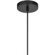 Pharr 1 Light 12 inch Matte Black Pendant Ceiling Light