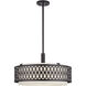 Vistaview 4 Light 21 inch English Bronze Pendant Chandelier Ceiling Light