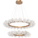 Blossom LED Novel Brass Chandelier Ceiling Light, Two-Tier Ring