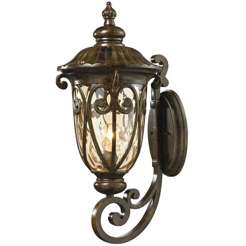 Logansport 1 Light 24 inch Hazelnut Bronze Outdoor Sconce