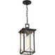 Hillside Manor 1 Light Black Outdoor Chain Hung, The Great Outdoors