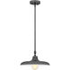 Camden 1 Light 14 inch Modern Bronze Pendant Ceiling Light