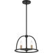 Abbott 3 Light 13.75 inch Black Mini Chandelier Ceiling Light