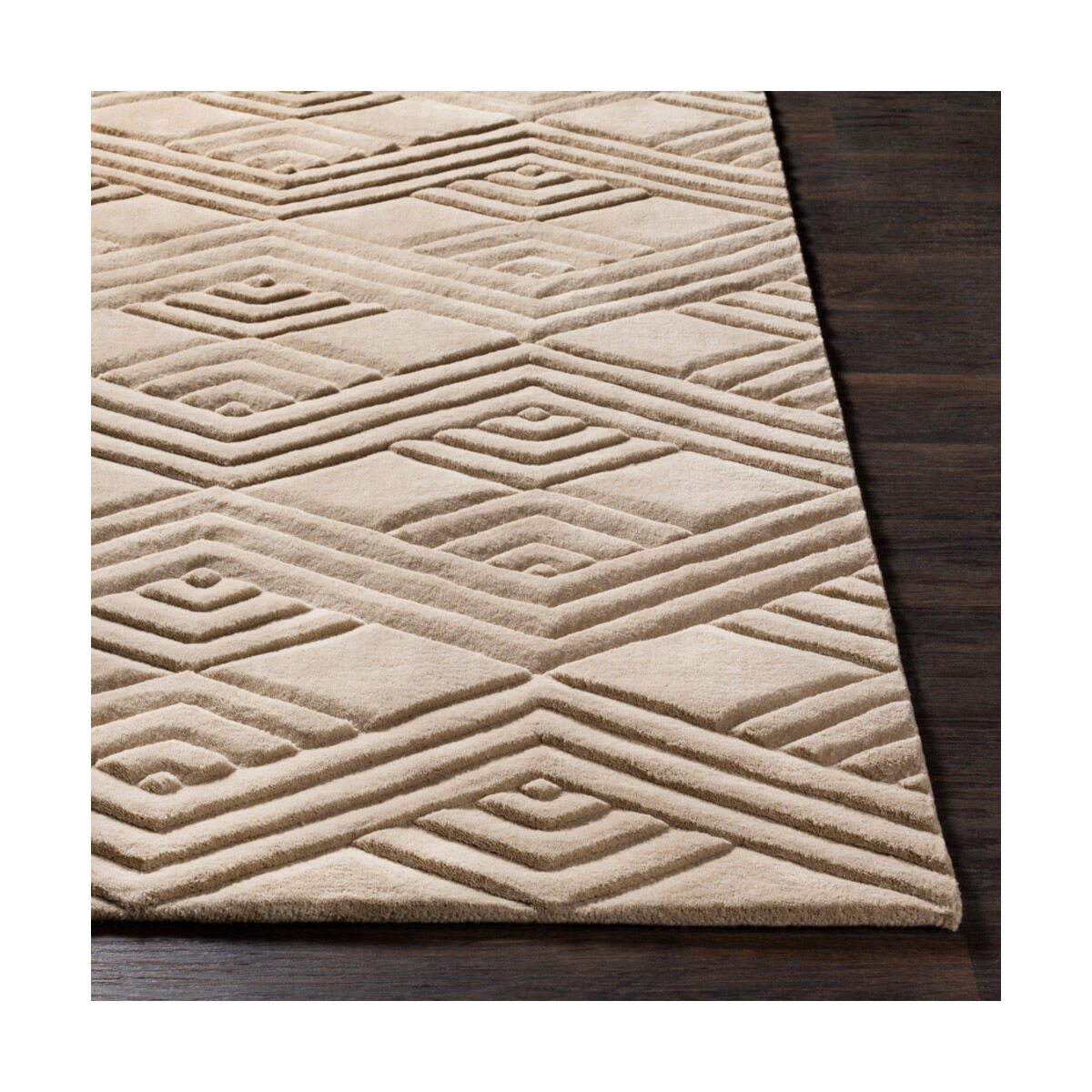 Etching 36 X 24 inch Taupe Rugs, Rectangle