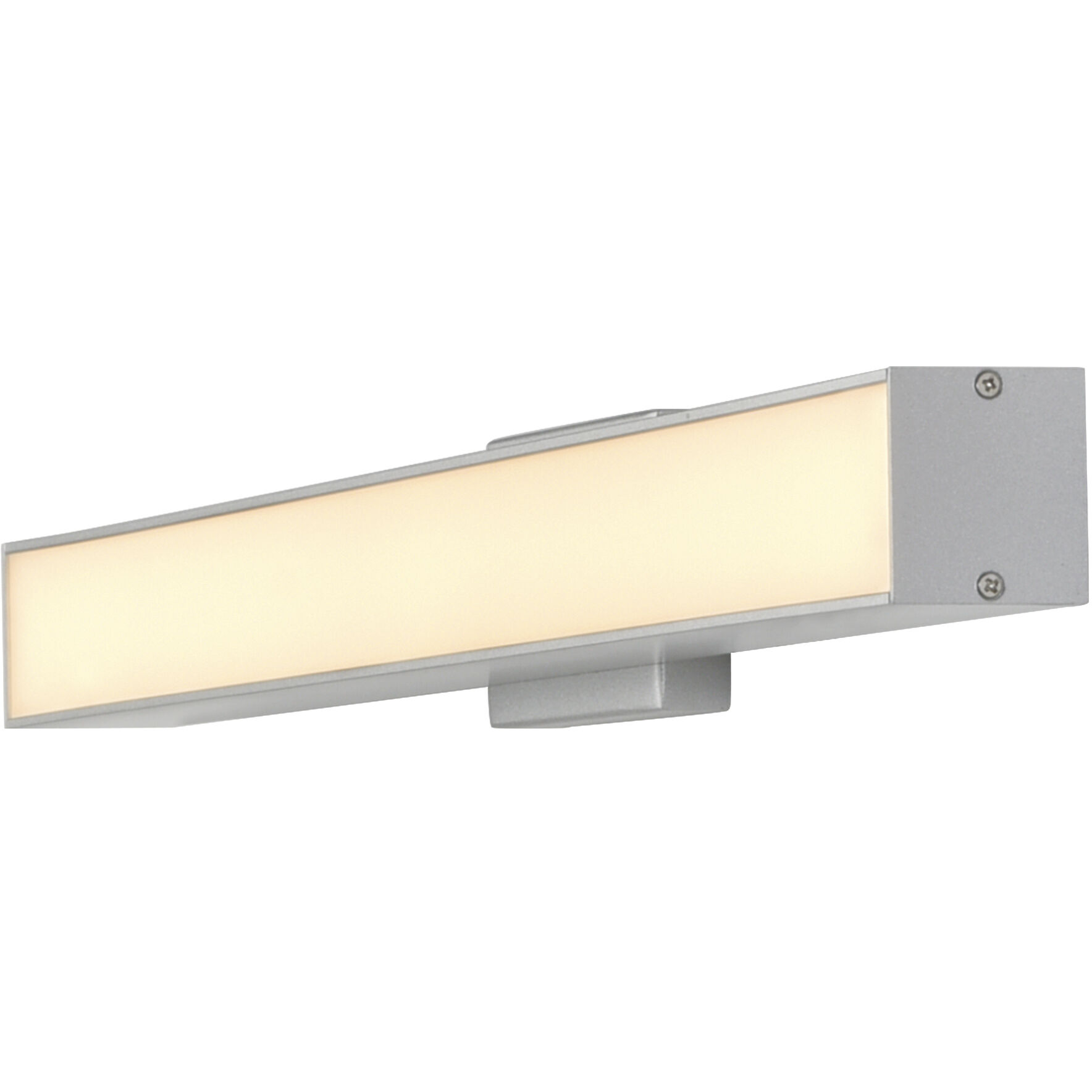 Procyon 24 inch Silver Bathroom Vanity Light Wall Light