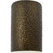 Ambiance Cylinder LED 9.5 inch Hammered Polished Brass Outdoor Wall Sconce, Small