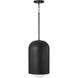 Dolby 1 Light 10.25 inch Black Iron Pendant Ceiling Light