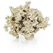 Organic Opulence 4.75 X 4.75 inch Sculptures