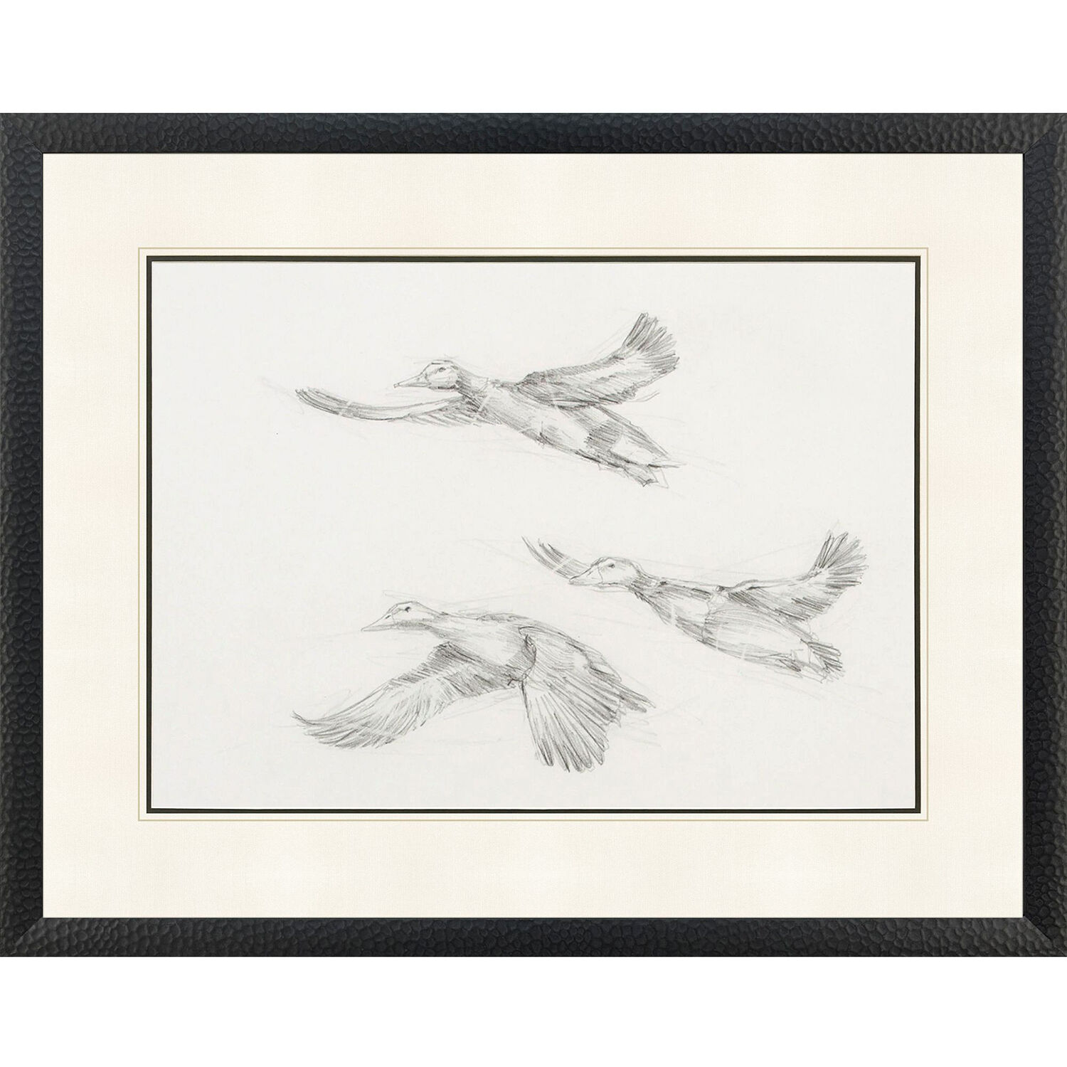 Mallard Duck Sketch Black and Beige and Gray Framed Art
