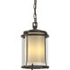 Meridian 1 Light 7.7 inch Coastal Dark Smoke Outdoor Ceiling Fixture