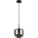 Irresistible Organic Charm 1 Light 9.88 inch Smoke Pendant Ceiling Light