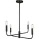 Catalina 4 Light 24 inch Matte Black Chandelier Ceiling Light