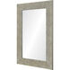 Leda 36 X 24 inch Antique Silver Wall Mirror