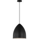 Drew & Jonathan Scott Huron 1 Light 13 inch Midnight Black Pendant Ceiling Light
