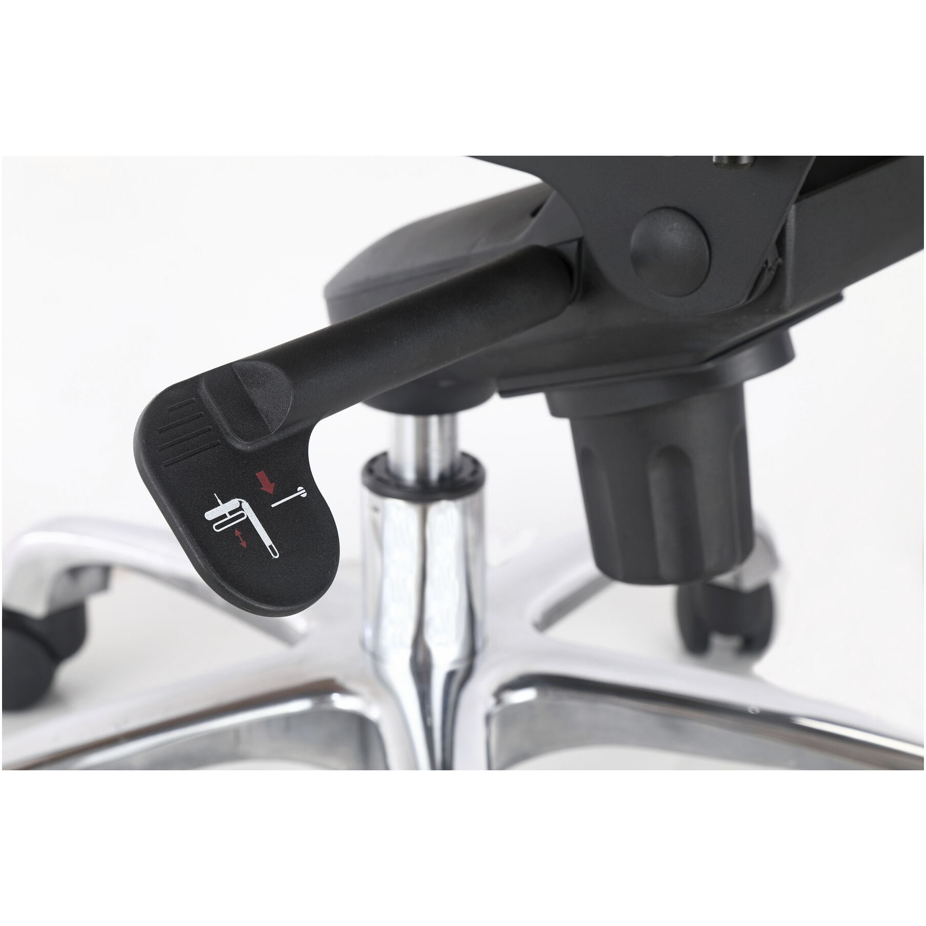 Studio Brown Swivel Office Chair