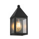 Ashford 1 Light 10.75 inch Matte Black Outdoor Sconce in Clear Glass, No Wire Pattern, Brass Traditions by Innovations Lighting