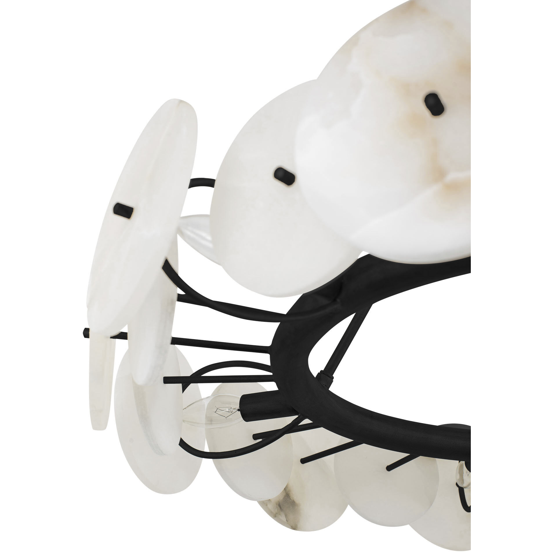 Cosmos 6 Light 30 inch Matte Black Chandelier Ceiling Light, Smithsonian Collaboration