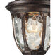 Joy 1 Light 14 inch Regal Bronze with Clear Outdoor Sconce