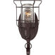 Scout 1 Light 13 inch English Bronze Outdoor Wall Lantern, Small