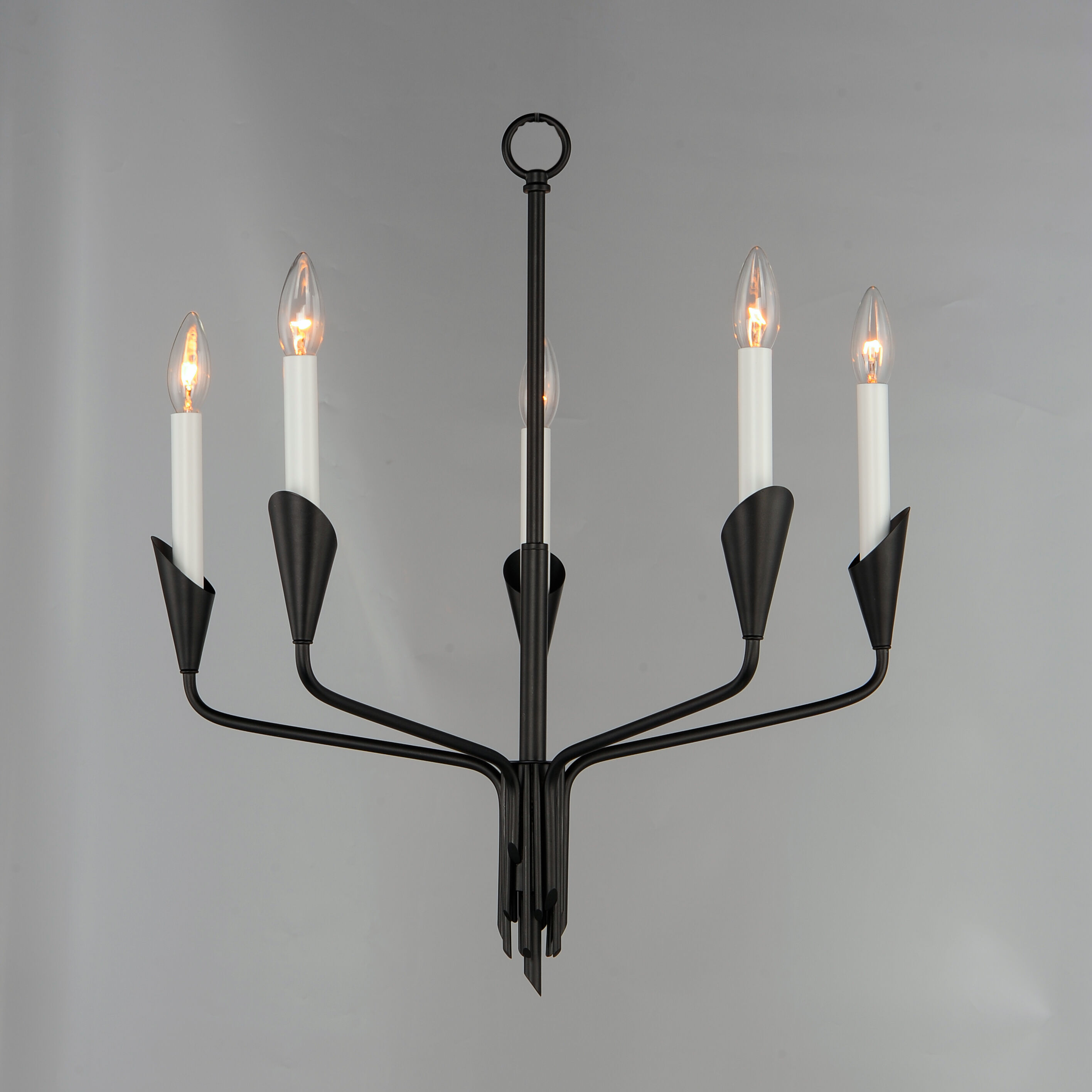 Calyx 5 Light 22 inch Black Chandelier Ceiling Light