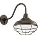 Pier 1 Light 16 inch Olde Bronze Outdoor Wall, X-Large