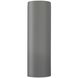 Ambiance Outdoor Wall Sconce