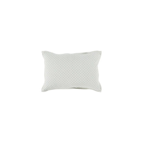 Hamden 19 X 13 inch Mint Throw Pillow