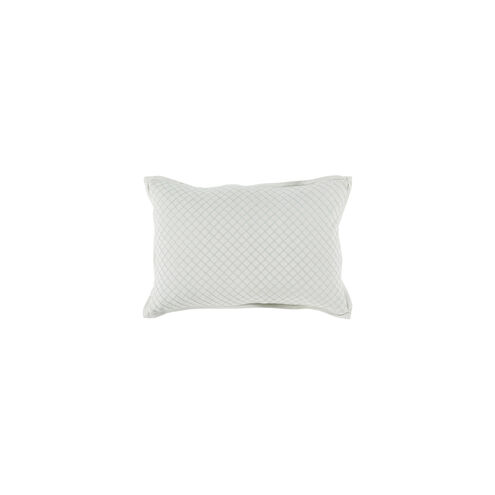 Hamden 19 X 13 inch Mint Throw Pillow