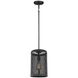Gereon 1 Light 8 inch Black Mini-Pendant Ceiling Light