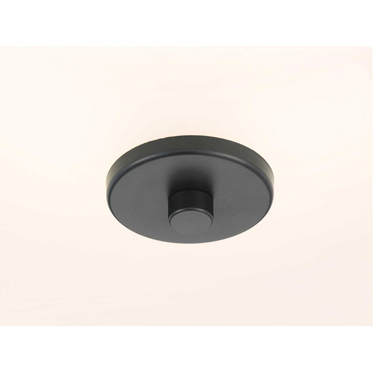 Briscoe 2 Light 13 inch Graphite Semi-Flush Mount Ceiling Light
